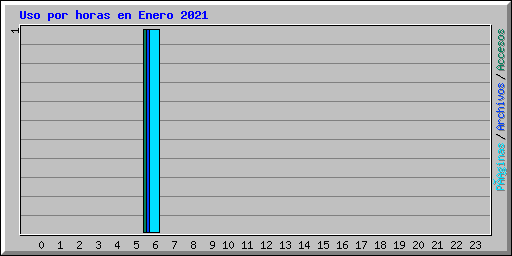 Uso por horas en Enero 2021
